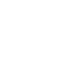 Southington Insurance Center - Logo 800 White